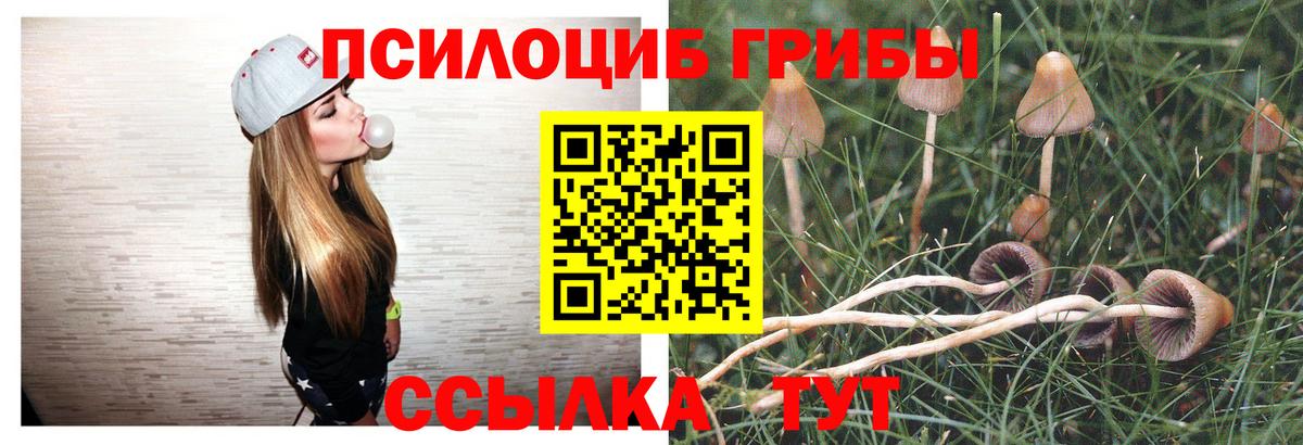 Галлюциногенные грибы GOLDEN TEACHER  Вход с VPN  закладки  Димитровград  Галлюциногенные грибы Psilocybe 