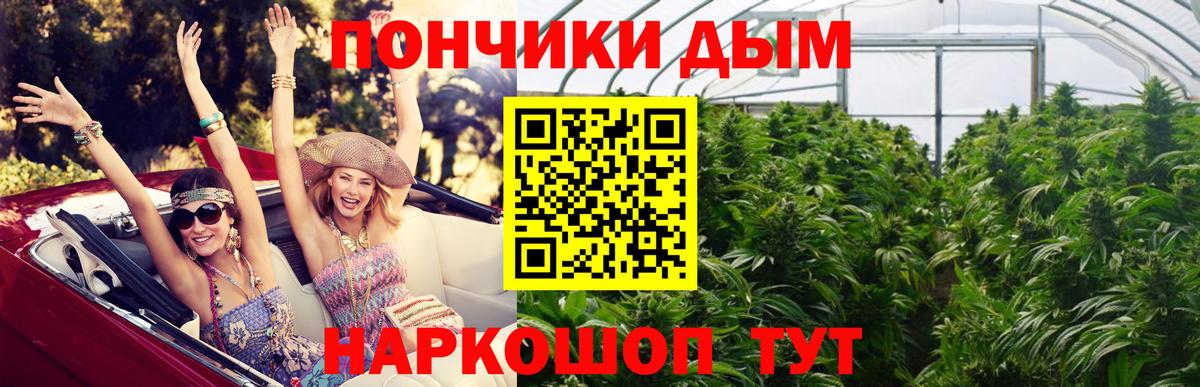 Шишки марихуана планчик  Вход с VPN  Димитровград  Каннабис гибрид  МАРИХУАНА гибрид  Шишки марихуана ГИДРОПОН 